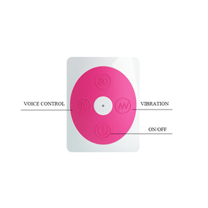 PRETTY LOVE Voice Control 30 Functions Vibrator