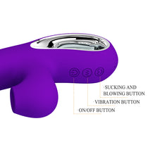 Load image into Gallery viewer, 12 Functions of Vibrator 4 Functions of Sucking Vibrator