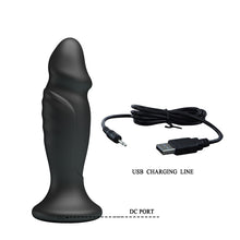 Load image into Gallery viewer, Remote Control Anal Plug Stimulate 12 Function Vibrator 5 Levels Speed Control